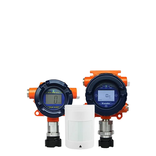 Sensor and Detector